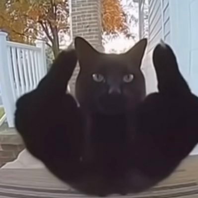 sereniwoawoaa's profile picture. I don’t give a rats ass