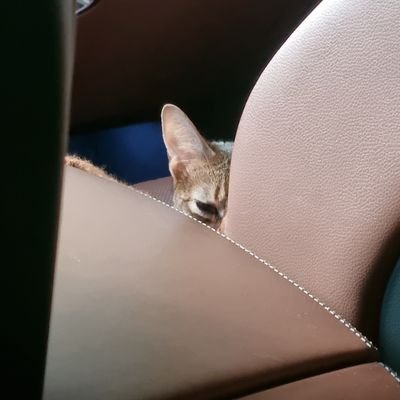 iuijin1842591's profile picture. 이세돌 화이팅!