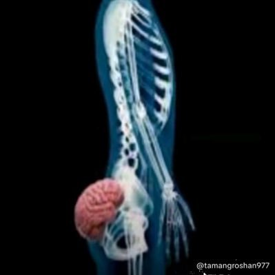 parash_477's profile picture. parash Chhetri from🇳🇵✈️ 🇦🇺