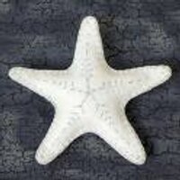 hrgl grubu (@hrglgrubu) 's Twitter Profile
