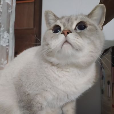 nurullah40852's profile picture. 