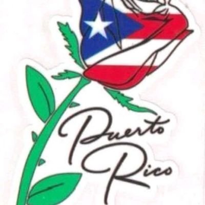 ceopeacepro's profile picture. Me encantan los boricuas, síganme.
