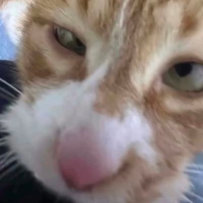 Apurba Biswas Profile