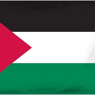 edpldi's profile picture. FREE🇵🇸✌🏼Allah est grand Palestine vaincra NFP 🇫🇷🇵🇸 Anti RN Anti Droitardé anti facho Anti reconquête