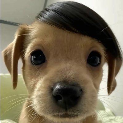 pbe_t0's profile picture. 