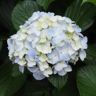 jha1524's profile picture. 社会人。テニスが趣味になりました。人間関係、日々のこと、テニスのこと、仕事のこと…日々考えるいろんなことを文章におこしています。