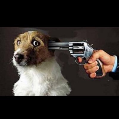 vozesnaoparam's profile picture. 