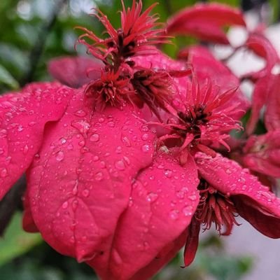 BridgetCla5757's profile picture. anonymous 🌟 i got you though