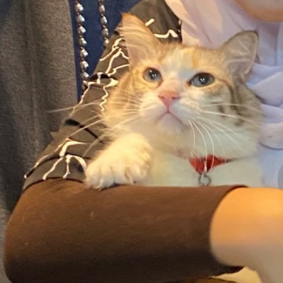 Clintonomoto's profile picture. 