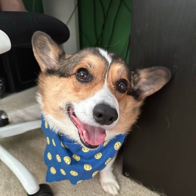 longhdoan92's profile picture. 