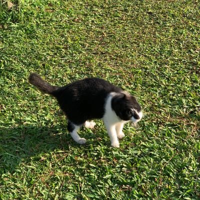 StdYadi19643's profile picture. bandung - jabar
23 y.o
Leo🦁