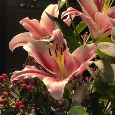 vco49's profile picture. استغفر الله