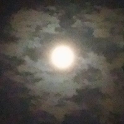 8yGKnN9pDxURlqz's profile picture. 創価否定の創価２世です（退会済み）。
身内や友人に信者がいる間は創価への関心は持ち続けます。