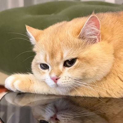 EkaWula05427163's profile picture. Love biubiu so Much 💙
#Beyourluve  @JakeB4rever