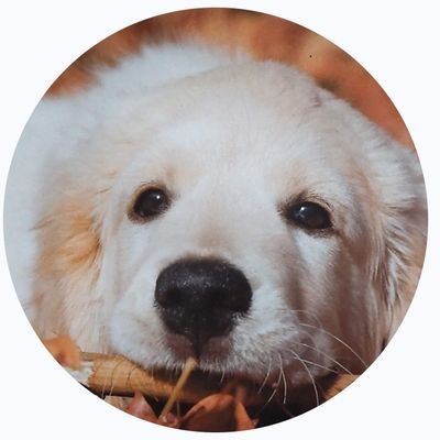 stay_Nmap's profile picture. 🔰宜しくお願いします*ˊᵕˋ*.*
始まりはSMAP~💙