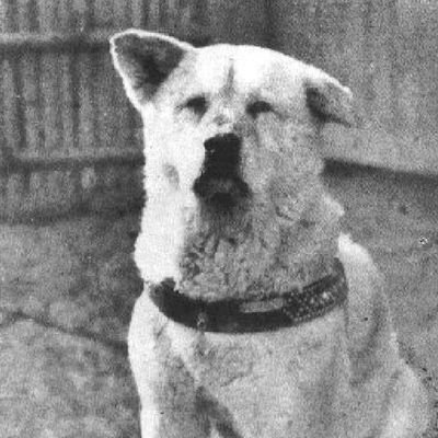 BoasW63853's profile picture. 