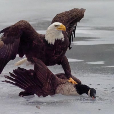 paulbeit's profile picture. 