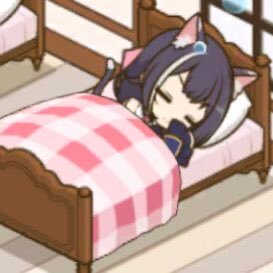 nodo_fgo's profile picture. 2025/11/06🧊。FGOと刀剣乱舞とシャドバWB。