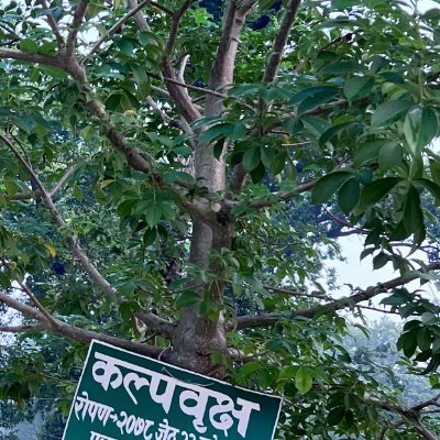 PremRAwasthi's profile picture. |मेरा पोस्ट मेरा आफ्नै हुन |