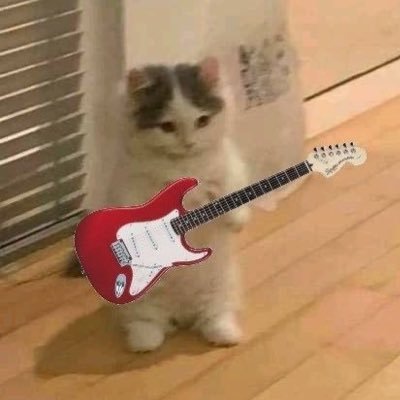 hoohuhuhoo's profile picture. 나의 아기깜고 아기여우 똔가나디 뱁새 락스타