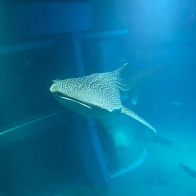 DYabxM9DETEgkl8's profile picture. 愛知在住の下っ端電気エンジニアまだまだ未熟だけど日々努力していい設備を作れるようになる