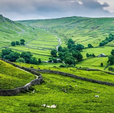 SkeltonPark's profile picture. We need to talk about our universities