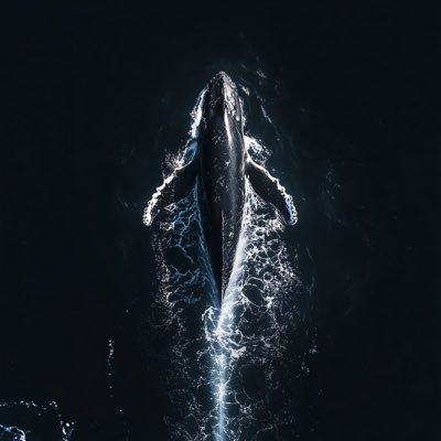 Beet1g's profile picture. عسى ماجيت في وقت لغيري، محامي هارب من المشاكل