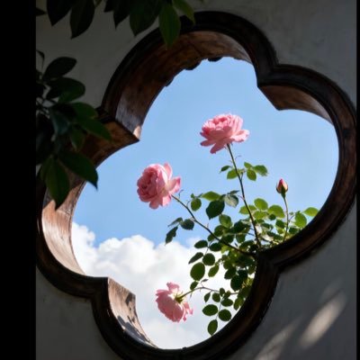 _iimnmn's profile picture. 