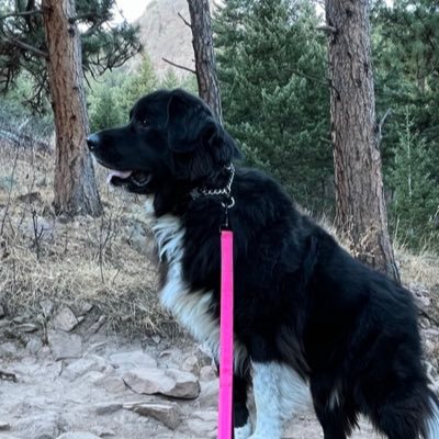 Greenacres1000's profile picture. #29ers, #worldbuildersorbust