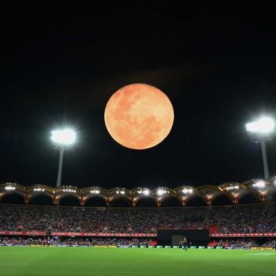 techsmart484675's profile picture. Hard-core cricket lover🏏🏏
Posted about cricket and Indian cricket team 🇮🇳🇮🇳🇮🇳