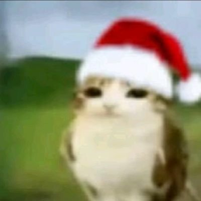 Kili_Fruit6's profile picture. Zeak/Valen || esp/eng || any pronouns || Argentina🇦🇷 || tankmen fan || 16 y/o ||

Lalalalala I love my oomfs || @KilltheFruit