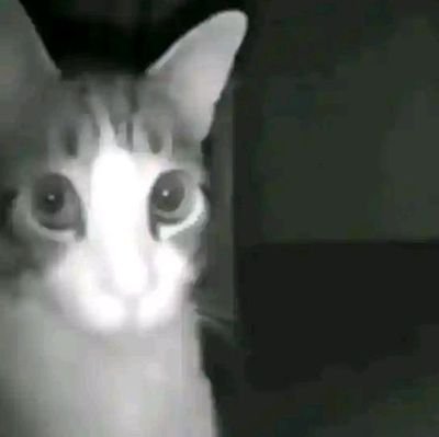 jamitorogerio's profile picture. .    *     .       *    .🌙      *    .  *            ☄️.    *      *    .      🌍*      .     .    *   💫 *    .      *      .     .  *.       ✨
    *    .  *