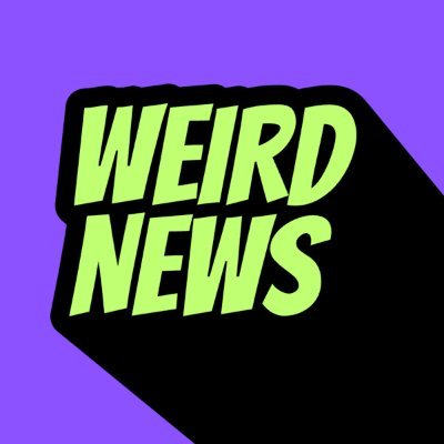 WeirdNews's profile picture. Not your regular news source.
