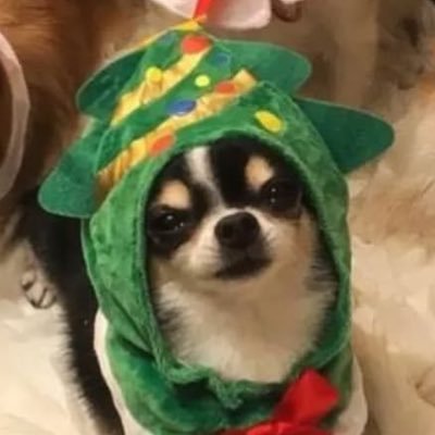 APTX0129's profile picture. 부럽기도 하고, 얄밉기도 하고, 무한으로도전하고싶다는생각까지들거든요