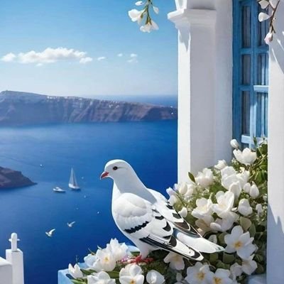 شروق الشمس 🌅🌅 Profile