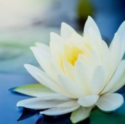 bulletinrationa's profile picture. 