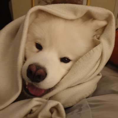 Goodboyspty's profile picture. GinJ หรือ JGin ก็อร่อย 🤭