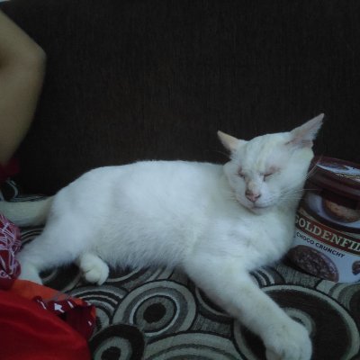 yupraa9's profile picture. 