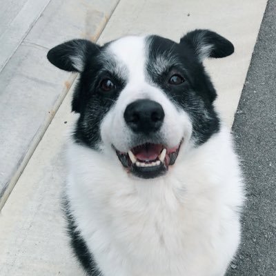 tatuya02013's profile picture. 4s4kiさん推しです！毒を吐いたりしますが気にせずに！