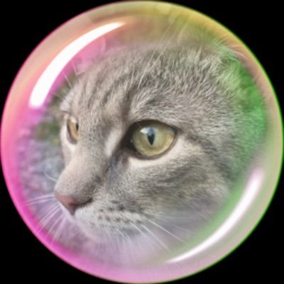 KrakenSlayer231's profile picture. 