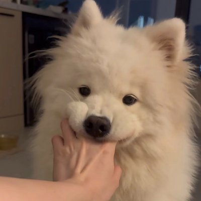 fmiasfbtf's profile picture. 