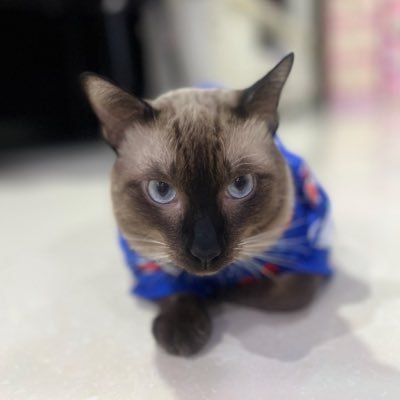 Gypy323817's profile picture. 