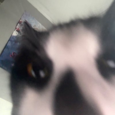 Alonelyoni's profile picture. I STAND WITH BIG TOBACCO