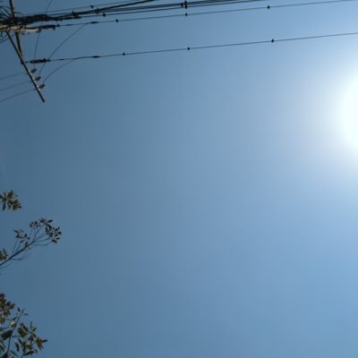 YFgG0uicx517010's profile picture. 05 キタニ NEE Chevon