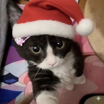 brunasswiftinha's profile picture. tuítes de pensamentos intrusivos e aleatórios. 
torcedora do Fortaleza Esporte Clube e futura servidora pública 🎯