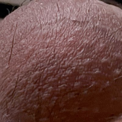 d7279270857731's profile picture. 