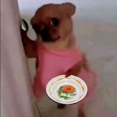 Apalah_kauni's profile picture. dentstud yubi 🦷