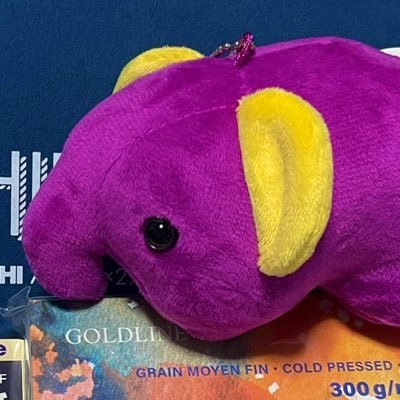 27gk7mk's profile picture. 腐２０↑。尾鯉中心鯉右のみ。文字と絵。ツイ消魔。