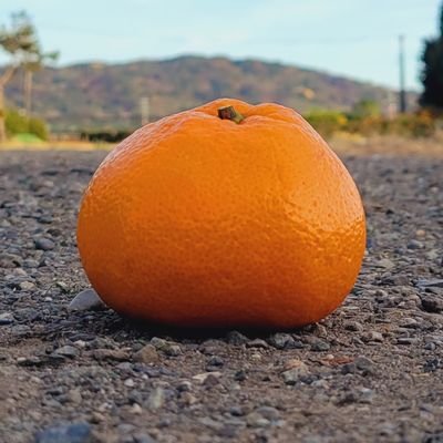 mikanmama123's profile picture. 子育ての修羅場と本音を発信中。フォロワーさんと共感し合いたい。みかんが大好きです🍊