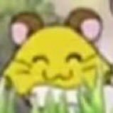 Kintamagadekai's profile picture. セロー/スーパーカブ/自転車/電動自転車